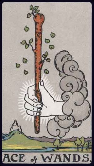 權杖一 Ace of Wands
