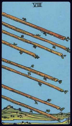 權杖八 Eight of Wands