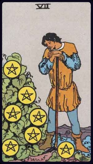 錢幣七 Seven of Pentacles